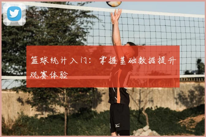 篮球统计入门：掌握基础数据提升观赛体验
